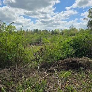 Photo #7 of Riverside, Seagrove, NC 24.4 acres