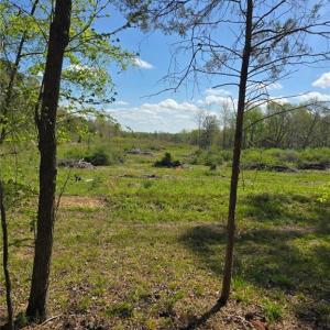 Photo #5 of Riverside, Seagrove, NC 24.4 acres