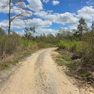 Photo #11 of Riverside, Seagrove, NC 24.4 acres