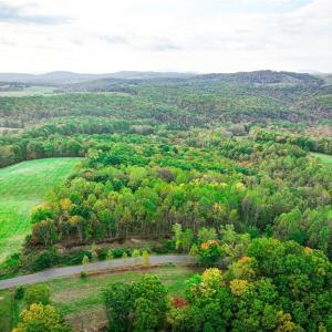 Photo #6 of TBD Pedigo Ridge, Claudville, VA 18.4 acres