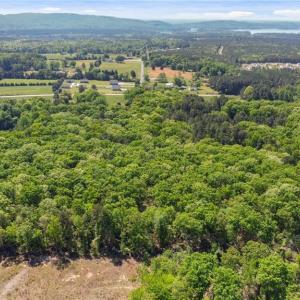 Photo #22 of NC Highway 8, Lexington, NC 11.8 acres