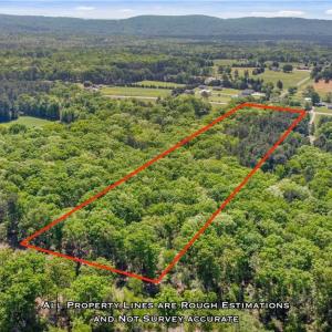 Photo #9 of NC Highway 8, Lexington, NC 11.8 acres