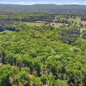 Photo #24 of NC Highway 8, Lexington, NC 11.8 acres