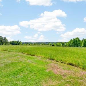 Photo #12 of Walter Meadows, Randleman, NC 4.5 acres