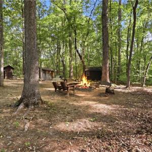 Photo #32 of 309 Tom Caudle, Lexington, NC 8.9 acres