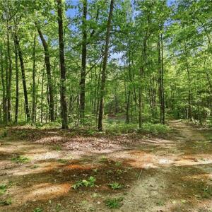 Photo #34 of 309 Tom Caudle, Lexington, NC 8.9 acres