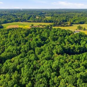 Photo #41 of 309 Tom Caudle, Lexington, NC 8.9 acres