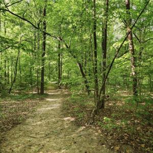 Photo #35 of 309 Tom Caudle, Lexington, NC 8.9 acres