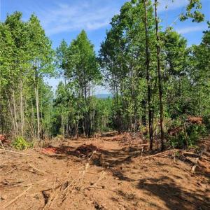 Photo #6 of 808 Neely, Asheboro, NC 53.6 acres