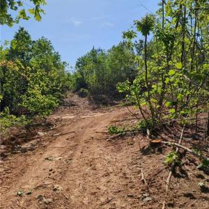 Photo #17 of 808 Neely, Asheboro, NC 53.6 acres