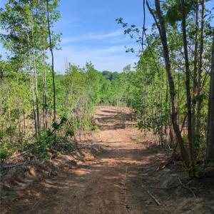 Photo #16 of 808 Neely, Asheboro, NC 53.6 acres