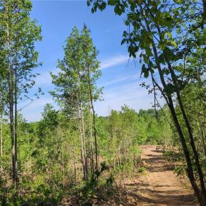 Photo #12 of 808 Neely, Asheboro, NC 53.6 acres