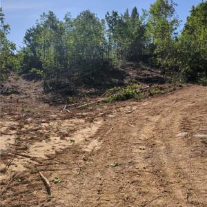 Photo #9 of 808 Neely, Asheboro, NC 53.6 acres