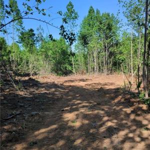 Photo #10 of 808 Neely, Asheboro, NC 53.6 acres