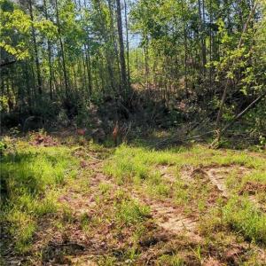 Photo #14 of 808 Neely, Asheboro, NC 53.6 acres