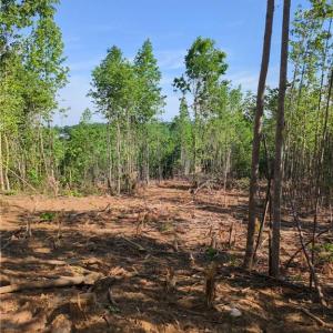 Photo #18 of 808 Neely, Asheboro, NC 53.6 acres