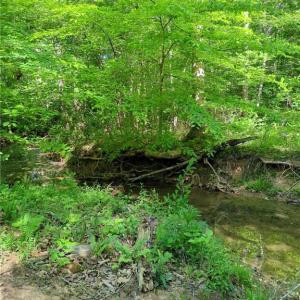 Photo #23 of 808 Neely, Asheboro, NC 53.6 acres