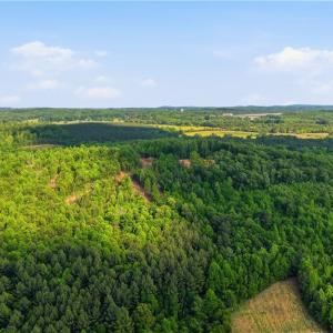 Photo #16 of 808 Neely, Asheboro, NC 53.6 acres