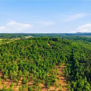 Photo #12 of 808 Neely, Asheboro, NC 53.6 acres