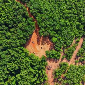 Photo #22 of 808 Neely, Asheboro, NC 53.6 acres
