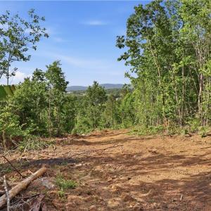 Photo #3 of 808 Neely, Asheboro, NC 53.6 acres