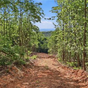 Photo #1 of 808 Neely, Asheboro, NC 53.6 acres