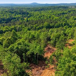 Photo #9 of 808 Neely, Asheboro, NC 53.6 acres