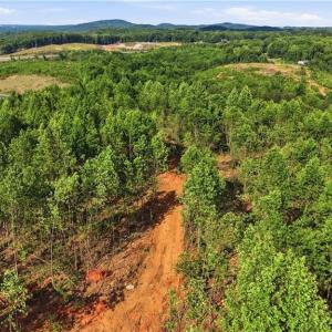 Photo #10 of 808 Neely, Asheboro, NC 53.6 acres