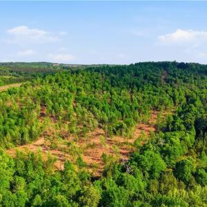 Photo #14 of 808 Neely, Asheboro, NC 53.6 acres
