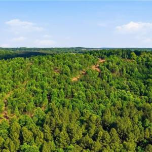 Photo #15 of 808 Neely, Asheboro, NC 53.6 acres