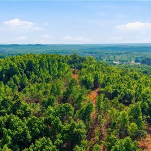 Photo #11 of 808 Neely, Asheboro, NC 53.6 acres