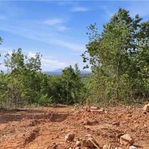 Photo #4 of 808 Neely, Asheboro, NC 53.6 acres