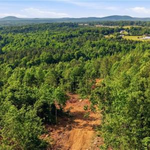 Photo #8 of 808 Neely, Asheboro, NC 53.6 acres