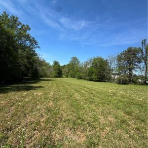 Photo #3 of 1011 Hauser, Lewisville, NC 29.0 acres