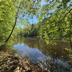 Photo #5 of 1011 Hauser, Lewisville, NC 29.0 acres