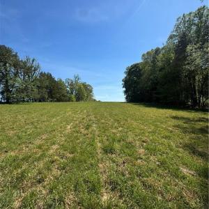 Photo #4 of 1011 Hauser, Lewisville, NC 29.0 acres