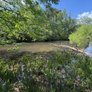 Photo #12 of 4100 High Rock, Gibsonville, NC 19.7 acres