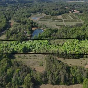 Photo #5 of 4100 High Rock, Gibsonville, NC 19.7 acres