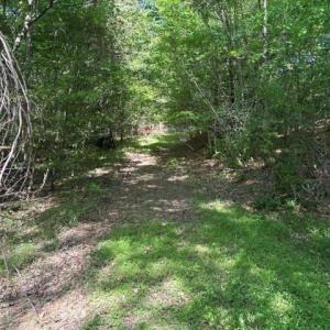 Photo #24 of 4100 High Rock, Gibsonville, NC 19.7 acres