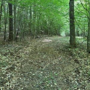 Photo #14 of 4100 High Rock, Gibsonville, NC 19.7 acres