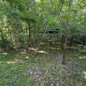 Photo #19 of 4100 High Rock, Gibsonville, NC 19.7 acres