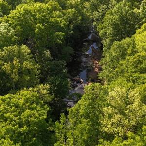 Photo #6 of 4100 High Rock, Gibsonville, NC 19.7 acres