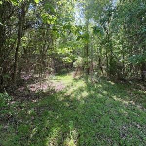 Photo #20 of 4100 High Rock, Gibsonville, NC 19.7 acres