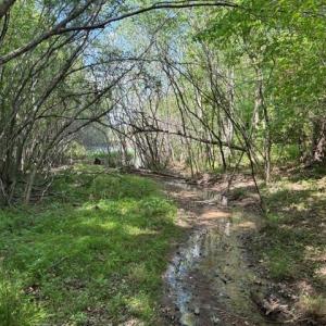 Photo #10 of 4100 High Rock, Gibsonville, NC 19.7 acres