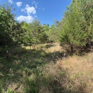 Photo #18 of 4100 High Rock, Gibsonville, NC 19.7 acres
