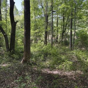 Photo #6 of Price Grange, Stoneville, NC 5.0 acres