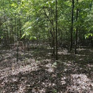 Photo #13 of Price Grange, Stoneville, NC 5.0 acres