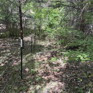 Photo #17 of Price Grange, Stoneville, NC 5.0 acres