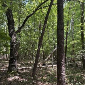 Photo #12 of Price Grange, Stoneville, NC 5.0 acres