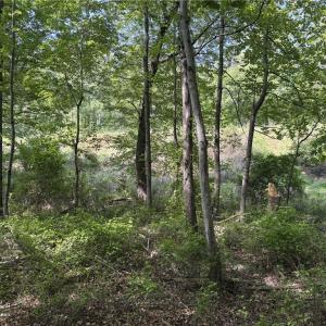 Photo #7 of Price Grange, Stoneville, NC 5.0 acres